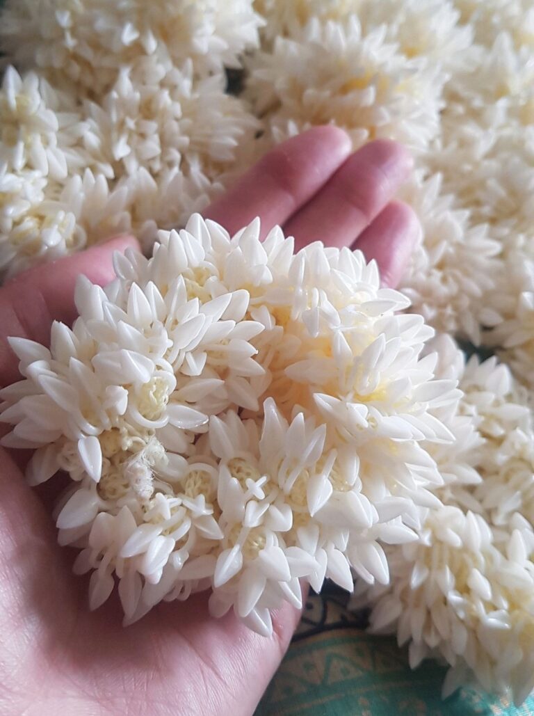 No.1 Trusted Imitation Jewellery Brand in India